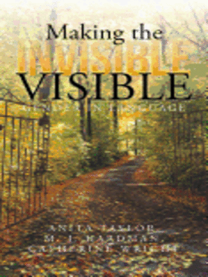 cover image of Making the Invisible Visible